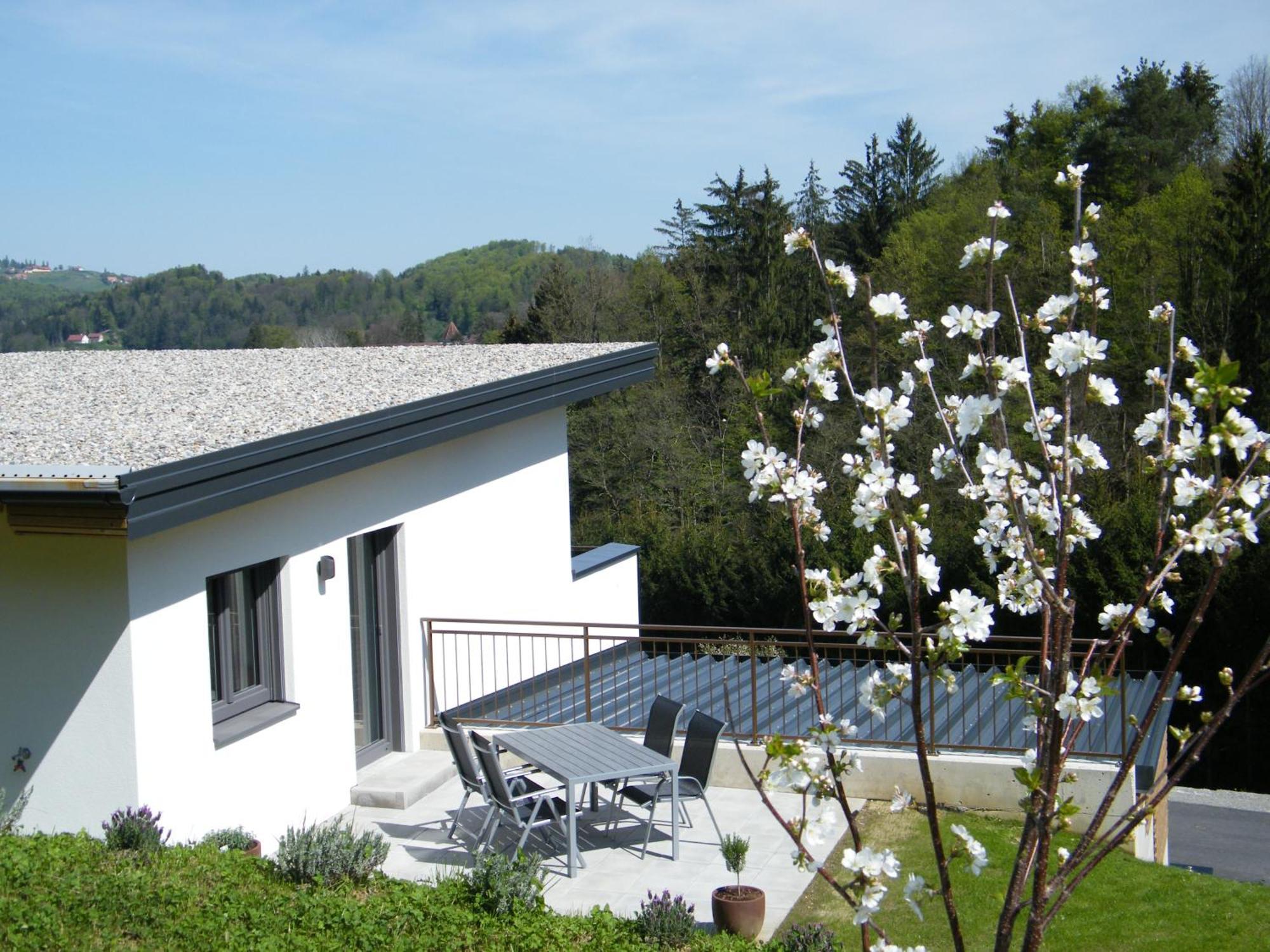 Haus Schlossbergblick Lejlighed Leutschach Eksteriør billede